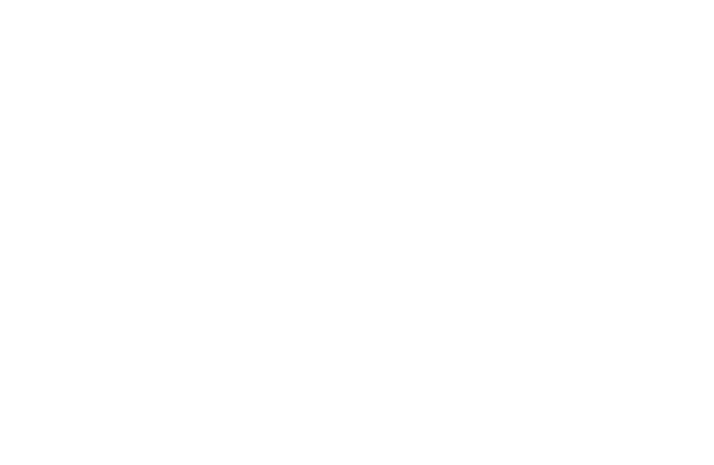 Fruit of the Loom